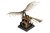 Da Vinci's Ornithopter Vliegmachine