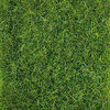 Wildgras Donkergroen 28x14 cm