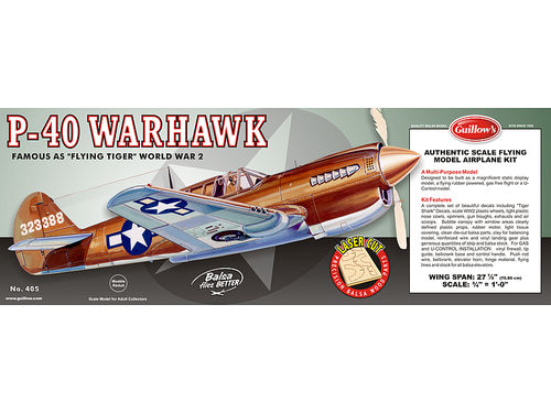 P-40 Warhawk 1/16