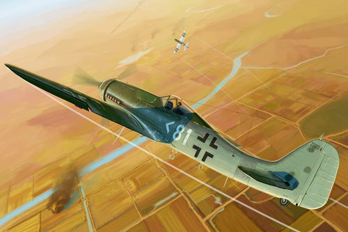 Focke-Wulf FW190D-11  1/48