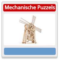 Houten Mechanische Puzzels
