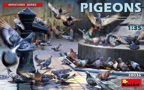 Pigeons - Duiven  1/35