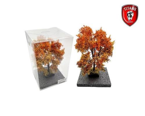 Autumn Maple Tree/Herfst Esdoorn 18-22cm