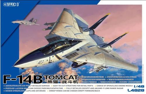 Grumman F-14 B Tomcat 1/48